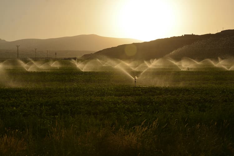 irrigation image